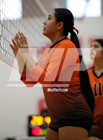 Thumbnail 3 in Globe vs Arizona Lutheran Academy (The Florence VB Invitational) photogallery.