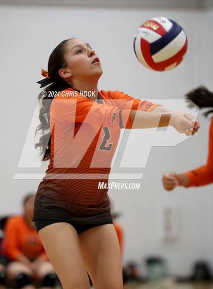 Thumbnail 3 in Globe vs Arizona Lutheran Academy (The Florence VB Invitational) photogallery.