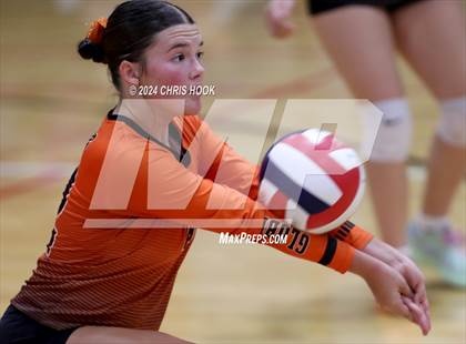 Thumbnail 3 in Globe vs Arizona Lutheran Academy (The Florence VB Invitational) photogallery.