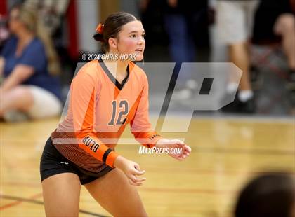 Thumbnail 3 in Globe vs Arizona Lutheran Academy (The Florence VB Invitational) photogallery.