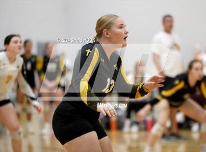 Thumbnail 2 in Globe vs Arizona Lutheran Academy (The Florence VB Invitational) photogallery.