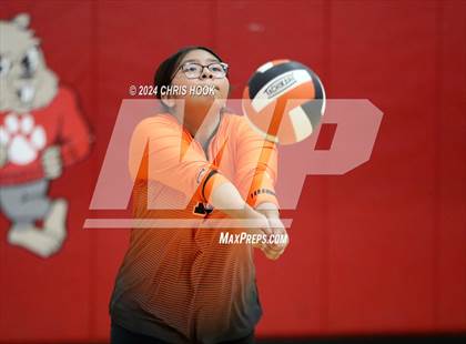 Thumbnail 1 in Globe vs Arizona Lutheran Academy (The Florence VB Invitational) photogallery.