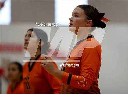 Thumbnail 3 in Globe vs Arizona Lutheran Academy (The Florence VB Invitational) photogallery.