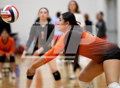 Thumbnail 2 in Globe vs Arizona Lutheran Academy (The Florence VB Invitational) photogallery.