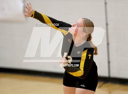 Thumbnail 2 in Globe vs Arizona Lutheran Academy (The Florence VB Invitational) photogallery.