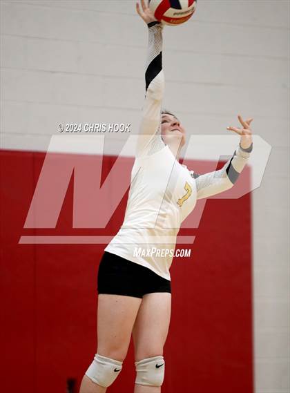 Thumbnail 3 in Globe vs Arizona Lutheran Academy (The Florence VB Invitational) photogallery.