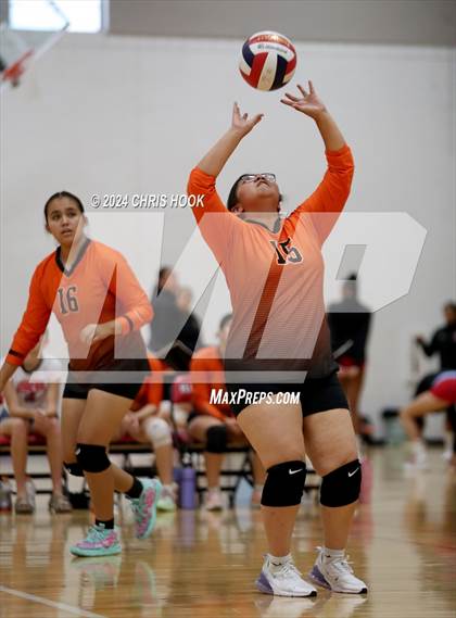 Thumbnail 3 in Globe vs Arizona Lutheran Academy (The Florence VB Invitational) photogallery.