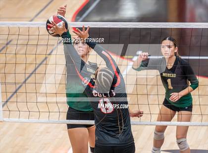 Thumbnail 1 in Moreau Catholic @ James Logan photogallery.