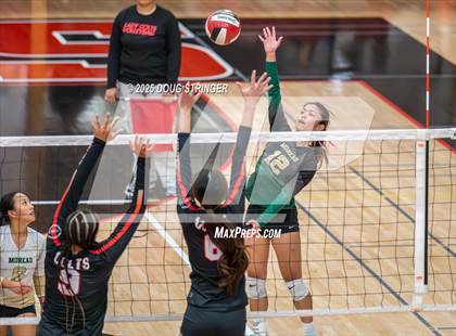 Thumbnail 3 in Moreau Catholic @ James Logan photogallery.
