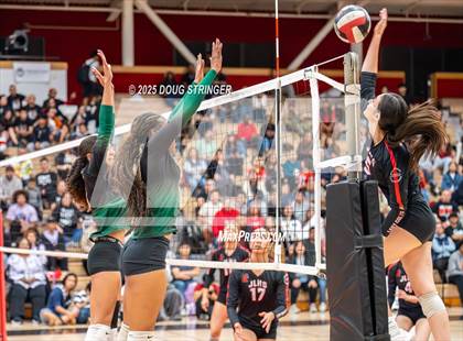 Thumbnail 2 in Moreau Catholic @ James Logan photogallery.