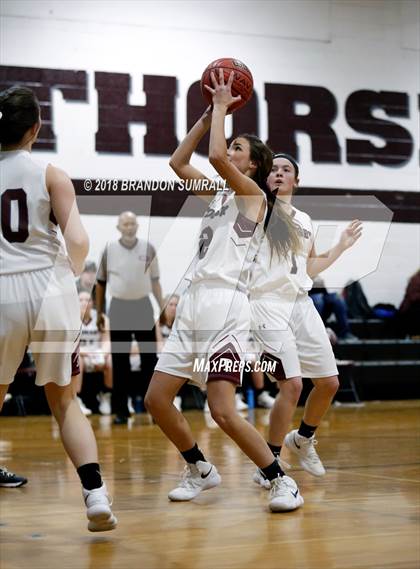 Thumbnail 1 in Billingsley @ Thorsby photogallery.