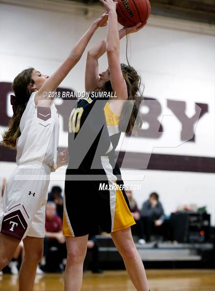 Thumbnail 2 in Billingsley @ Thorsby photogallery.