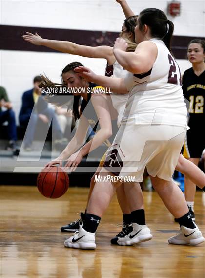 Thumbnail 1 in Billingsley @ Thorsby photogallery.