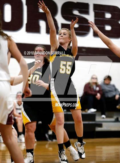 Thumbnail 1 in Billingsley @ Thorsby photogallery.