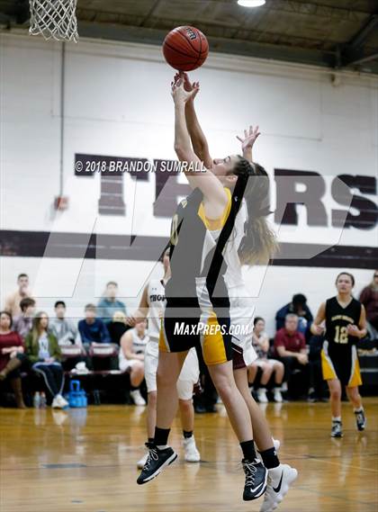 Thumbnail 1 in Billingsley @ Thorsby photogallery.