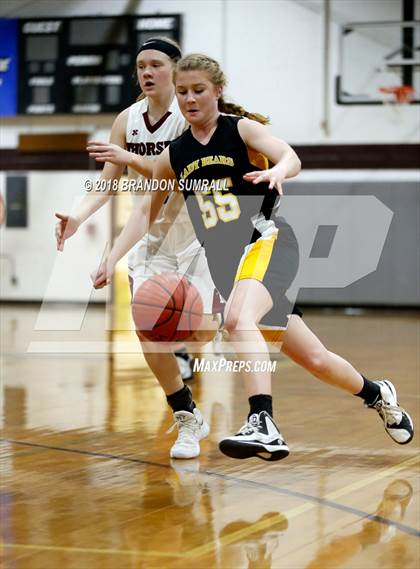 Thumbnail 1 in Billingsley @ Thorsby photogallery.
