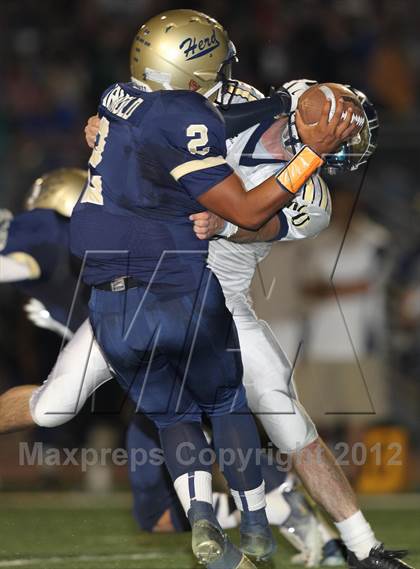 Thumbnail 1 in Nevada Union @ Elk Grove photogallery.