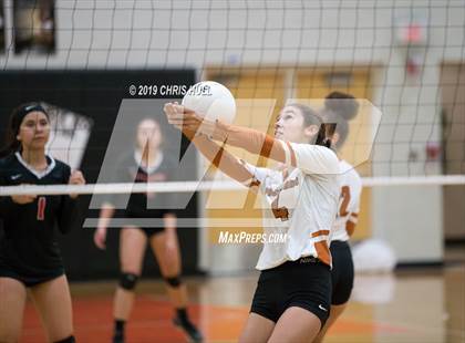 Thumbnail 2 in Hillsborough @ Lennard photogallery.
