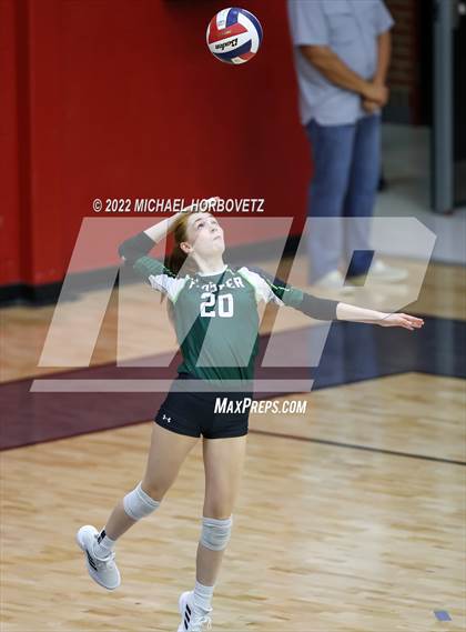 Thumbnail 2 in Prosper @ Lovejoy photogallery.