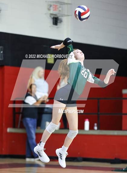 Thumbnail 2 in Prosper @ Lovejoy photogallery.