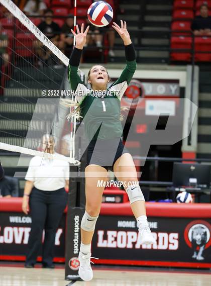 Thumbnail 2 in Prosper @ Lovejoy photogallery.