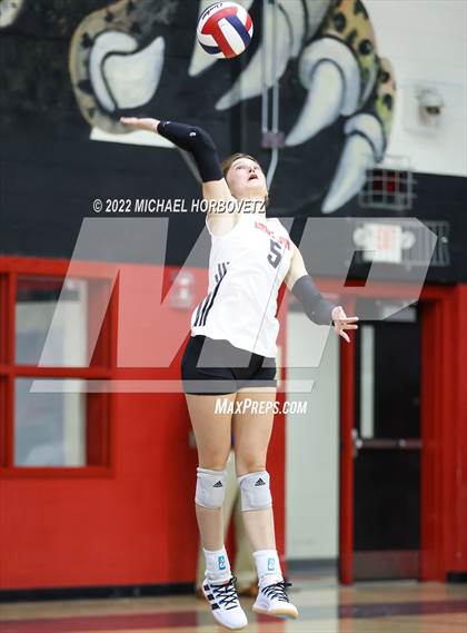 Thumbnail 3 in Prosper @ Lovejoy photogallery.