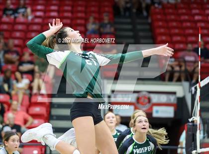Thumbnail 2 in Prosper @ Lovejoy photogallery.