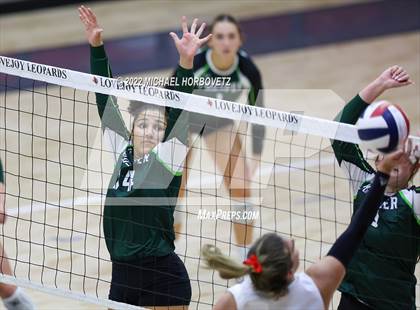 Thumbnail 1 in Prosper @ Lovejoy photogallery.
