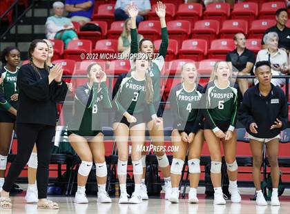 Thumbnail 3 in Prosper @ Lovejoy photogallery.