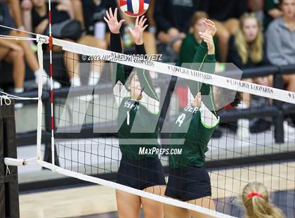 Thumbnail 2 in Prosper @ Lovejoy photogallery.