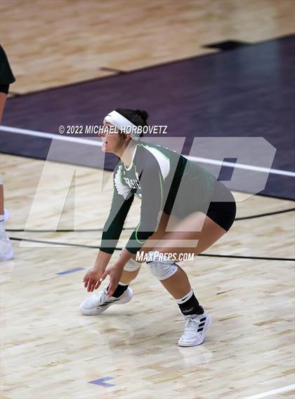 Thumbnail 1 in Prosper @ Lovejoy photogallery.