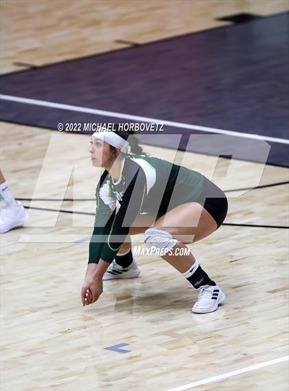 Thumbnail 3 in Prosper @ Lovejoy photogallery.