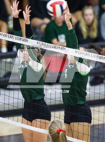 Thumbnail 2 in Prosper @ Lovejoy photogallery.