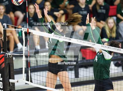 Thumbnail 3 in Prosper @ Lovejoy photogallery.