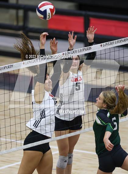 Thumbnail 3 in Prosper @ Lovejoy photogallery.