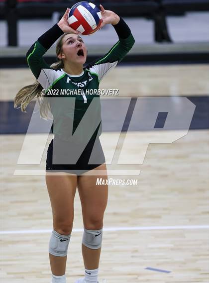 Thumbnail 2 in Prosper @ Lovejoy photogallery.