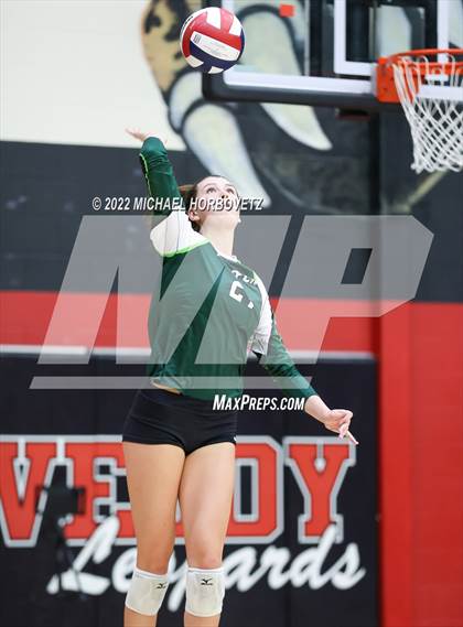 Thumbnail 2 in Prosper @ Lovejoy photogallery.