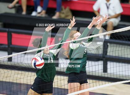 Thumbnail 1 in Prosper @ Lovejoy photogallery.