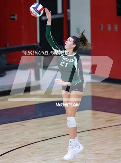 Thumbnail 1 in Prosper @ Lovejoy photogallery.