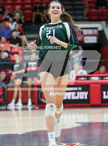Thumbnail 2 in Prosper @ Lovejoy photogallery.