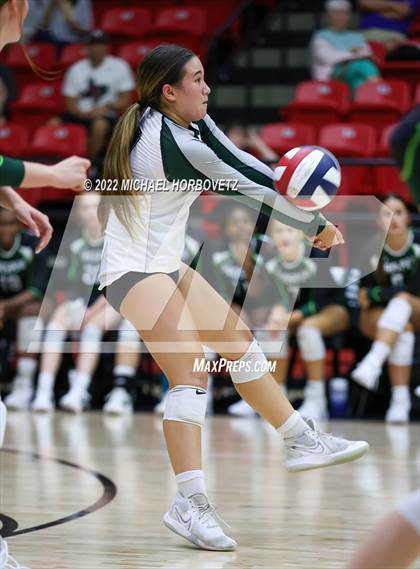 Thumbnail 2 in Prosper @ Lovejoy photogallery.