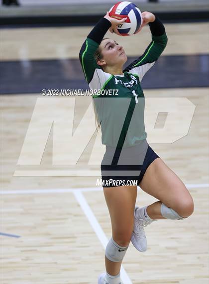 Thumbnail 1 in Prosper @ Lovejoy photogallery.