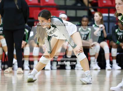 Thumbnail 1 in Prosper @ Lovejoy photogallery.