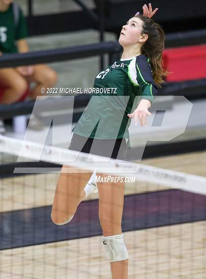 Thumbnail 3 in Prosper @ Lovejoy photogallery.