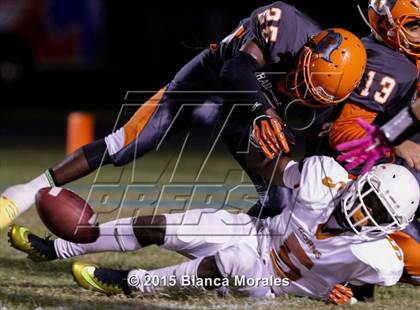 Thumbnail 3 in Lennard @ Plant City photogallery.