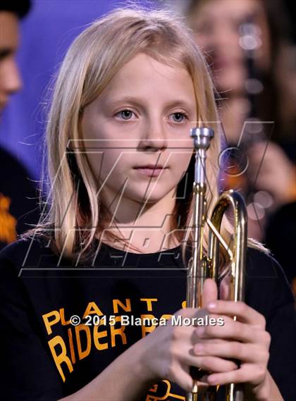 Thumbnail 1 in Lennard @ Plant City photogallery.