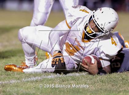 Thumbnail 3 in Lennard @ Plant City photogallery.