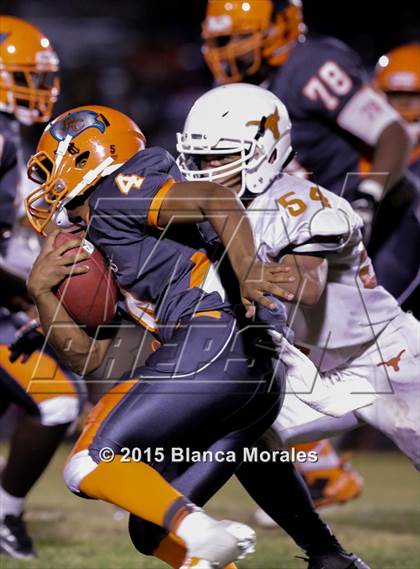Thumbnail 3 in Lennard @ Plant City photogallery.
