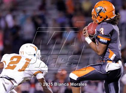 Thumbnail 3 in Lennard @ Plant City photogallery.
