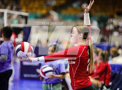 Thumbnail 1 in Haxtun vs. Simla (CHSAA 1A Round 3) photogallery.